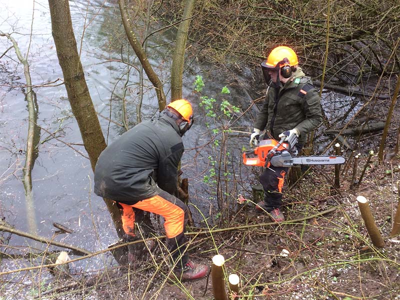 Activiteiten in Het Wisentbos