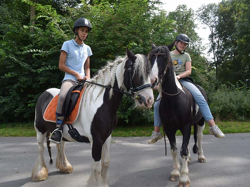 Routes in Het Wisentbos