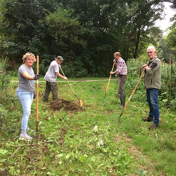 Vrijwilligers aan het werk in Het Wisentbos