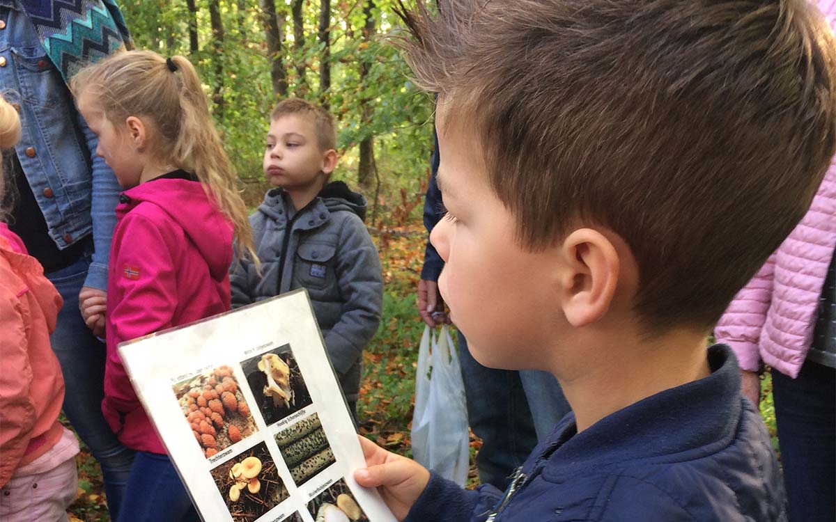 Los in het Bos