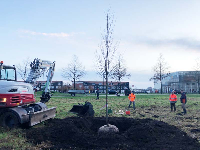 Stichting-Participatie-Het-Wisentbos-lindeboom NL Doet 2022