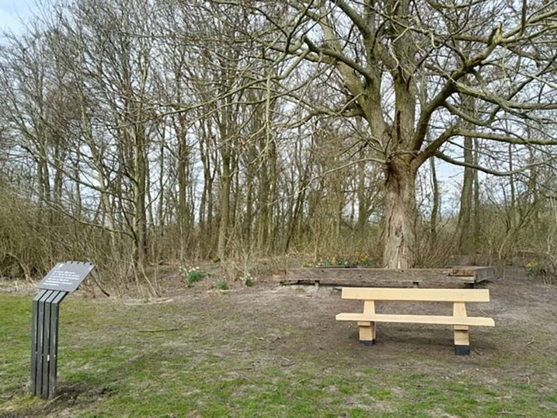 Nieuwe bankje bij de Morrenboom Nieuwe bankje bij de Morrenboom