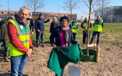 Onthulling boomsteker bij de nieuwe Lindenboom