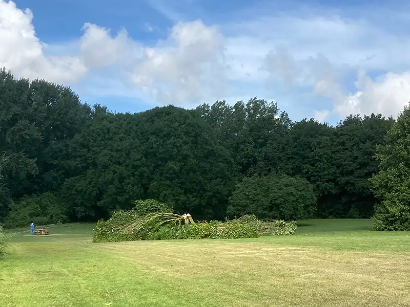 Zomerstorm Poly ook zichtbaar in het Wisentbos