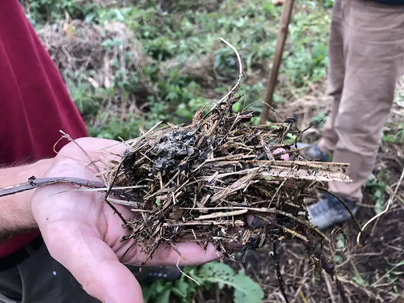 Geslaagde Natuurwerkdag 2023 Geslaagde Natuurwerkdag 2023