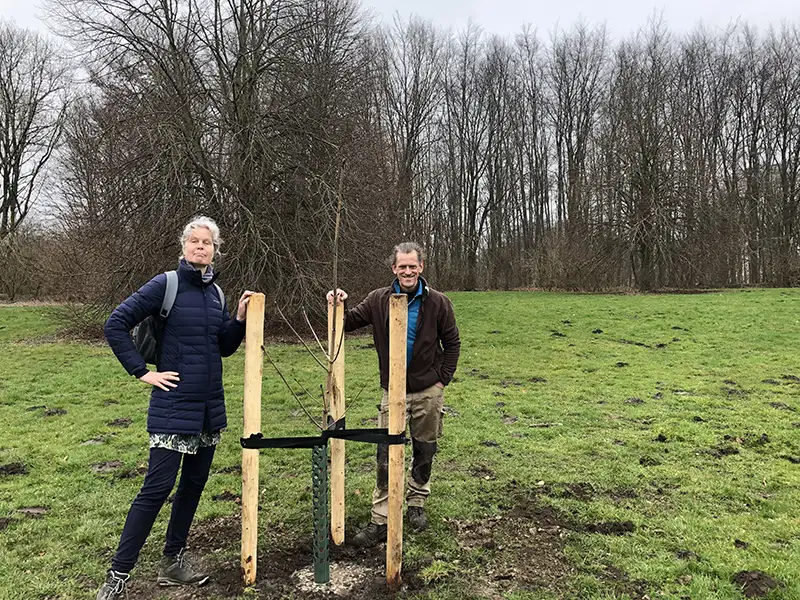 Vleermuiskasten in het Wisentbos