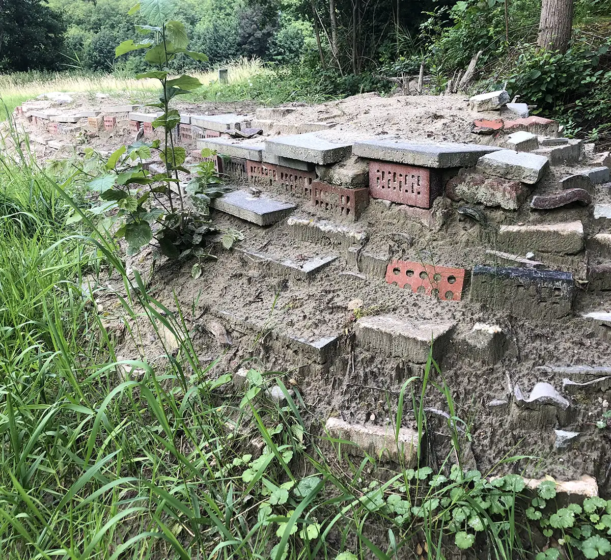 Bijenmuur