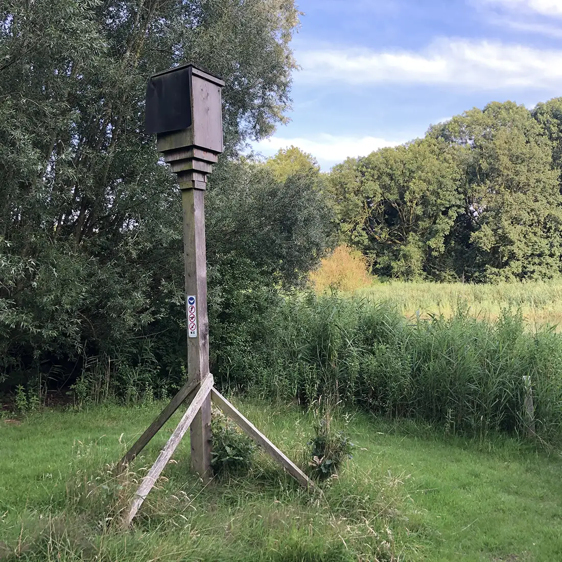 Vleermuiskast