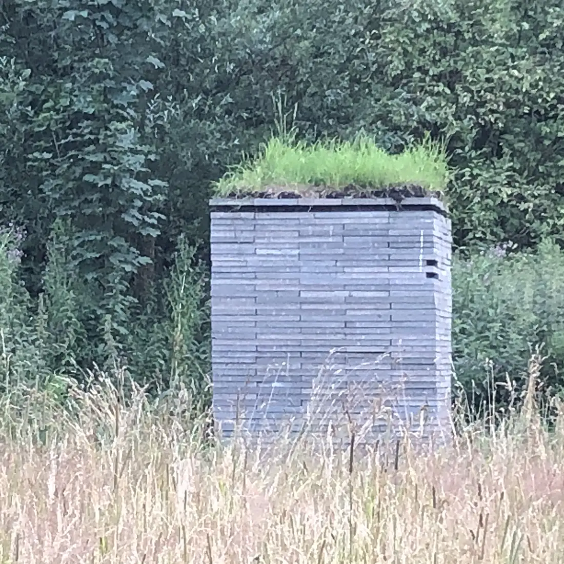 Vleermuiskast