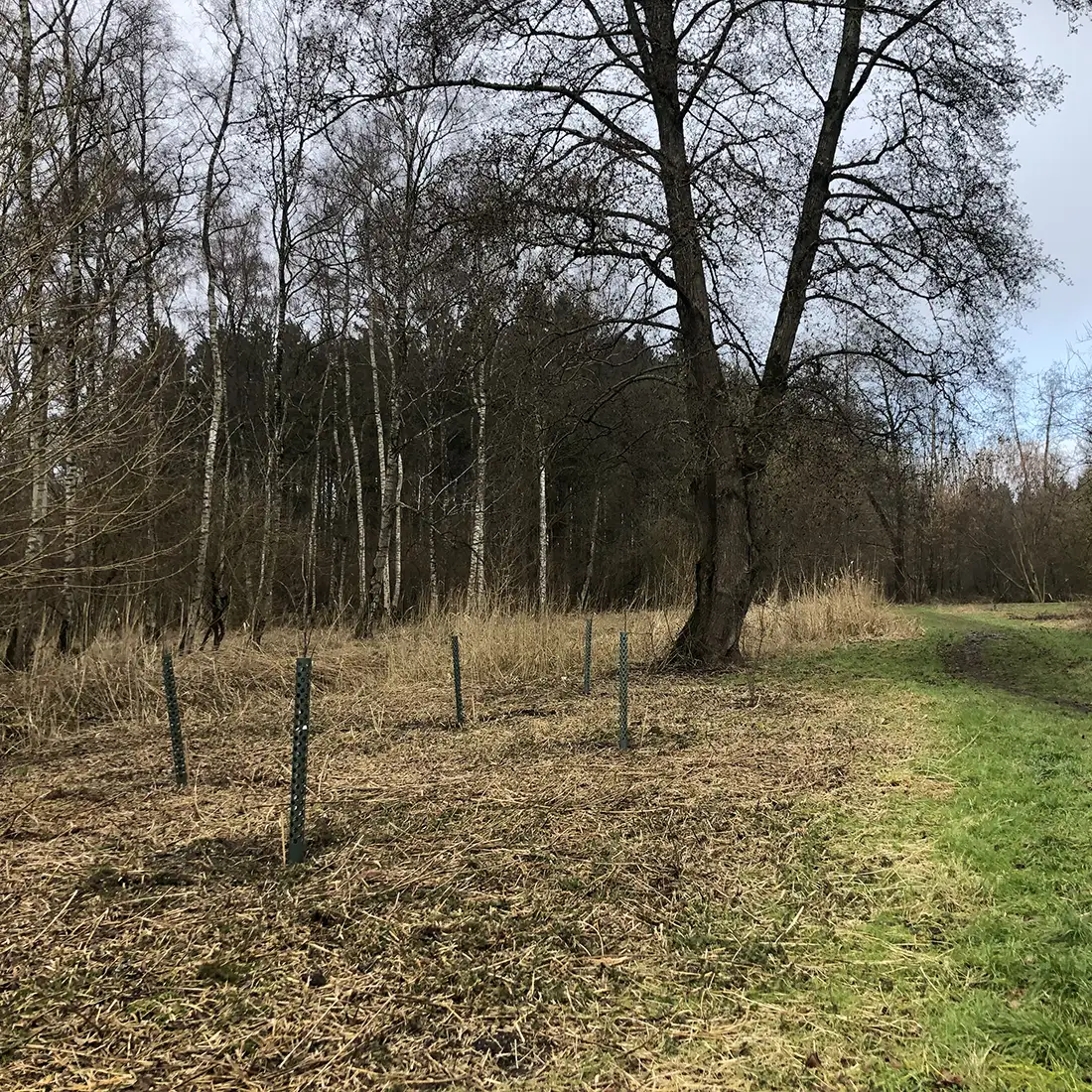 Voedselbos
